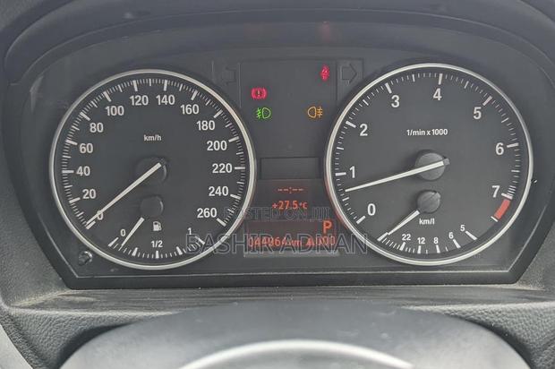BMW 3 Series 320i RWD 2010 Pearl