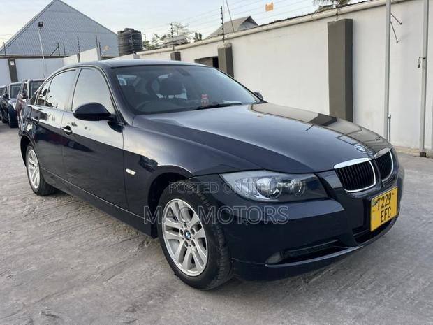 BMW 3 Series 320i RWD 2007 Blue
