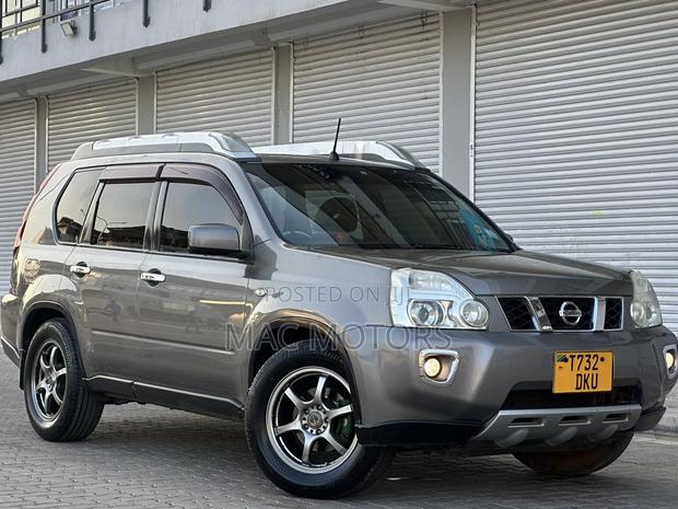 Nissan X-Trail 2.0 2007 Gray