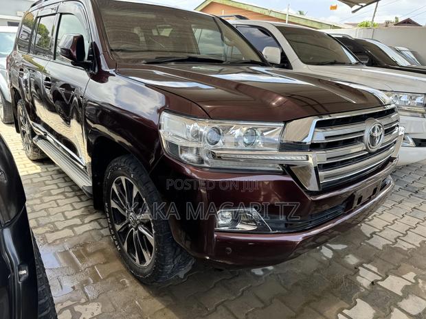 Toyota Land Cruiser 2008 Brown