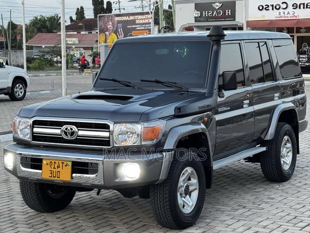 Toyota Land Cruiser 4.5 V8 TD STD 2010 Gray