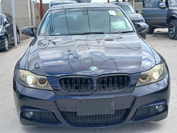 BMW 3 Series 320i RWD 2010 Blue