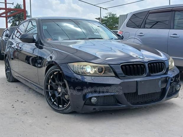 BMW 3 Series 320i RWD 2010 Blue