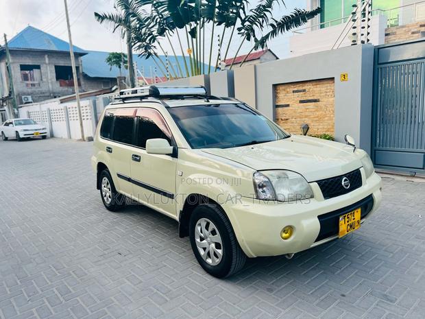 Nissan X-Trail 2005 Gray