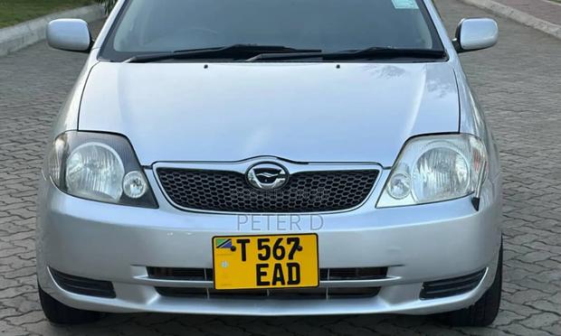 Toyota Corolla RunX 2002 Silver