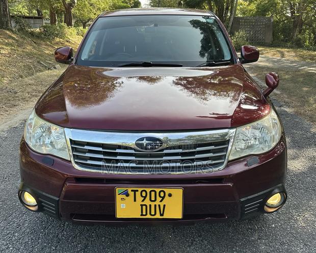 Subaru Forester 2009 Burgundy