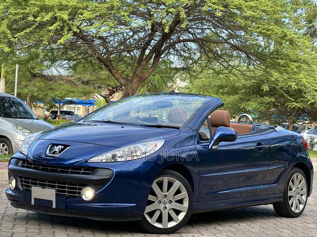 Peugeot 207 2008 Blue