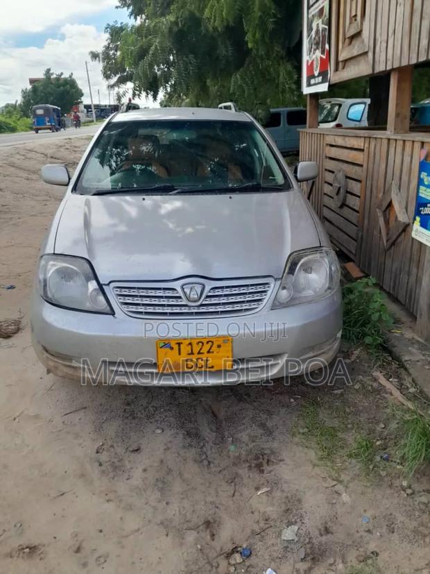 Toyota Corolla Fielder 2004 Silver