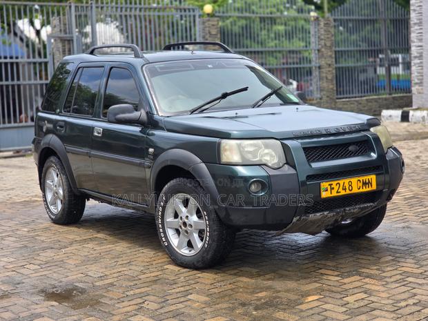 Land Rover Freelander 2003 Gray