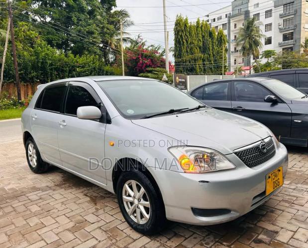 Toyota Corolla RunX 2003 Silver