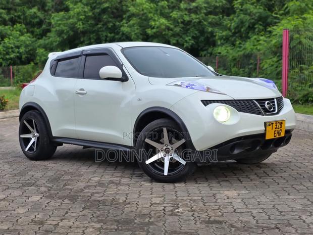 Nissan Juke 2011 White