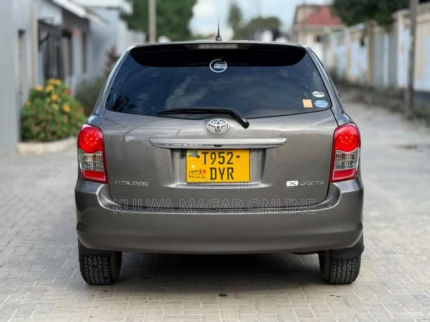 Toyota Corolla Fielder 2009 Gray