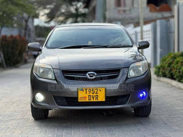 Toyota Corolla Fielder 2009 Gray