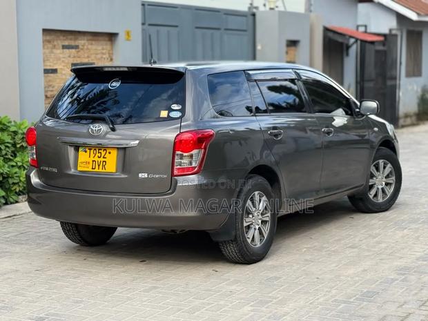 Toyota Corolla Fielder 2009 Gray
