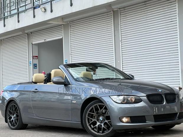 BMW 3 Series 2010 Gray