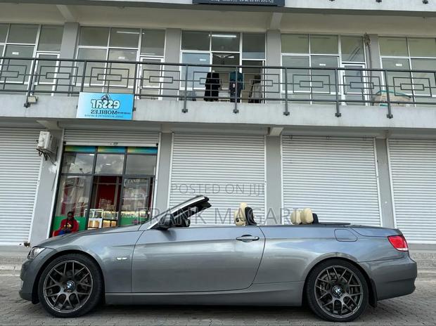 BMW 3 Series 2010 Gray