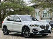 BMW X1 2020 Pearl for sale