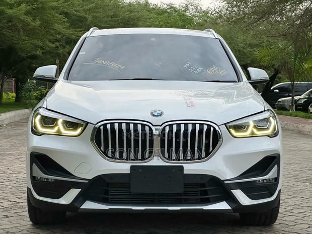 BMW X1 2020 Pearl