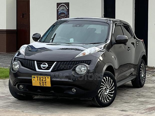 Nissan Juke 2011 Gray