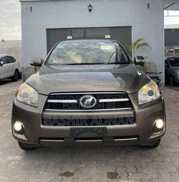Toyota RAV4 2010 Brown