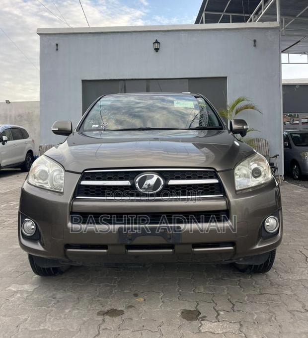 Toyota RAV4 2010 Brown