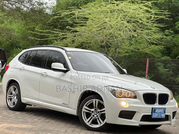BMW X1 2012 Pearl
