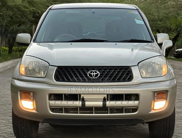 Toyota RAV4 2002 Silver