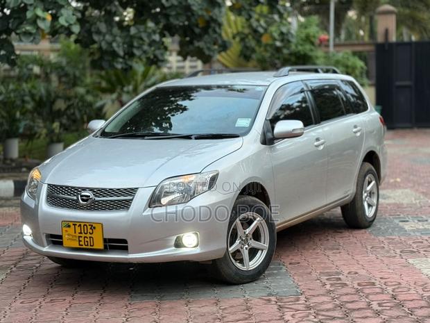 Toyota Corolla Fielder 2007 Silver