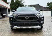 Toyota RAV4 Adventure 2019 Gray for sale