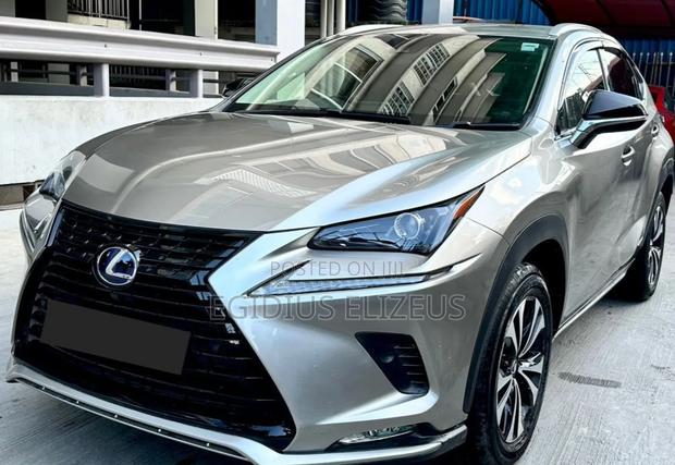 Lexus NX 2019 Silver