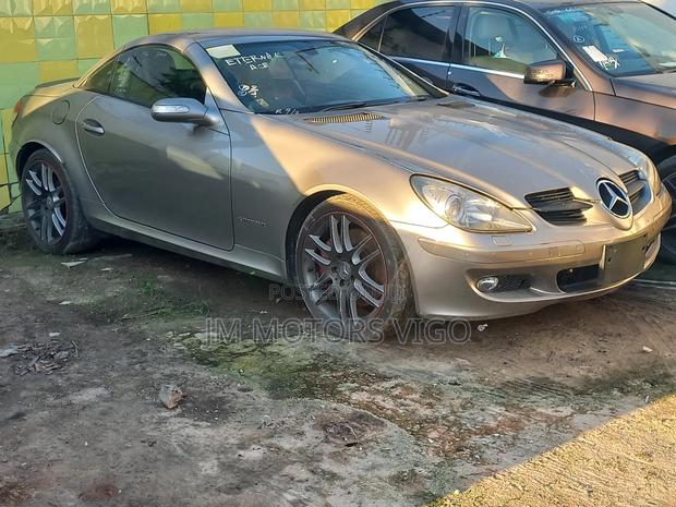 Mercedes-Benz SLK-Class 2007 Brown