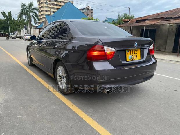 BMW 3 Series 2007 Brown