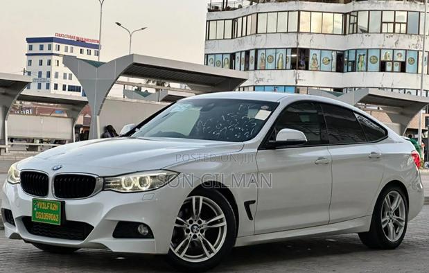 BMW 3 Series 2014 Pearl