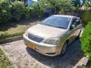 Toyota Allex 2004 Gold for sale