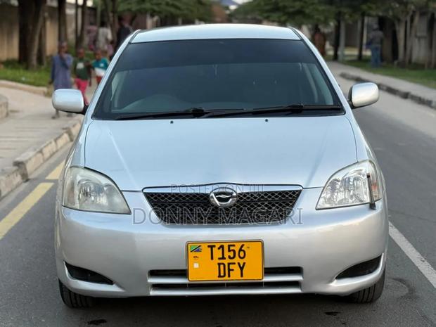 Toyota Corolla RunX 2004 Silver