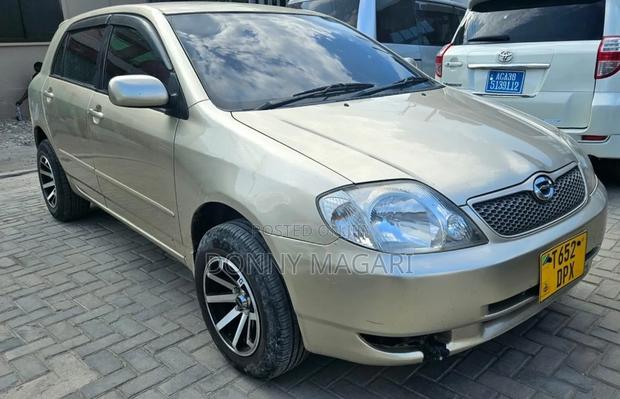 Toyota Corolla RunX 2007 Gold
