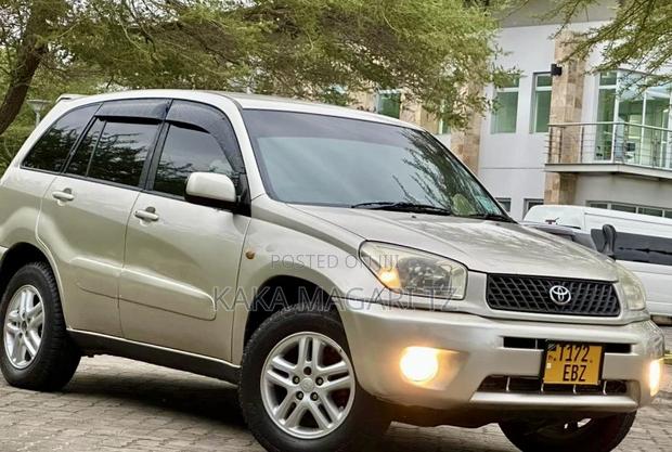 Toyota RAV4 2005 Gold