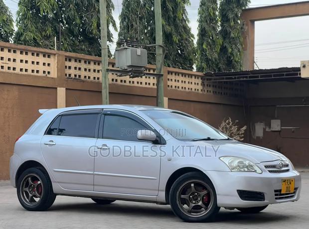 Toyota Allex 2007 Silver