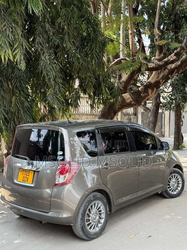 Toyota Ractis 2006 Gray