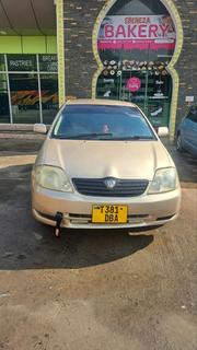 Toyota Corolla RunX 2006 Gold for sale