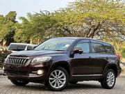 Toyota Vanguard 2010 Maroon for sale