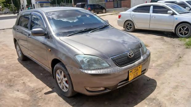 Toyota Corolla RunX 1.5 X AWD 2007 Gray