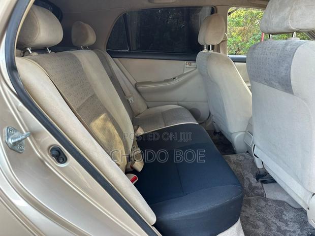 Toyota Allex 2004 Gold