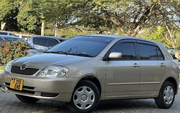 Toyota Allex 2004 Gold