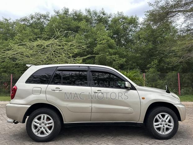 Toyota RAV4 2005 Gold