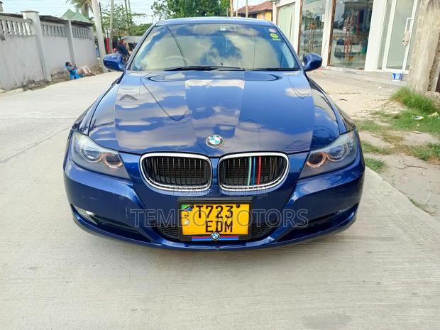 BMW 3 Series 2012 Blue