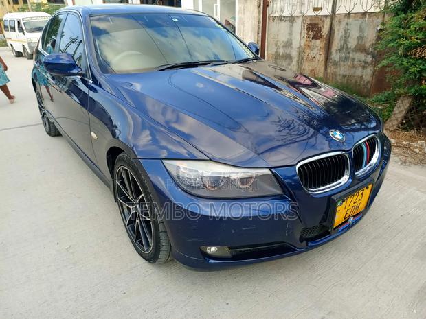 BMW 3 Series 2012 Blue