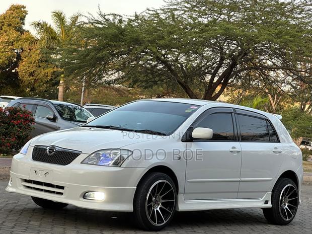Toyota Corolla RunX 2005 Pearl
