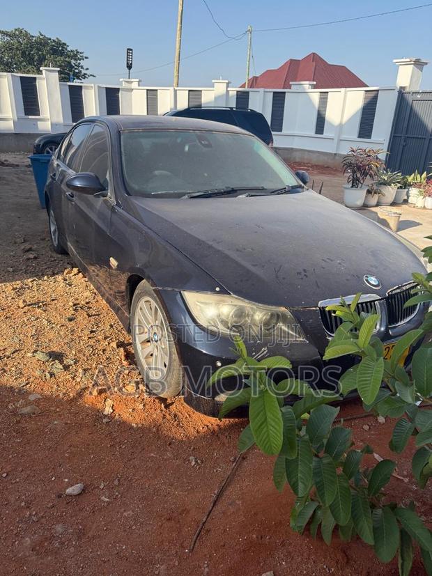 BMW 3 Series 2006 Blue