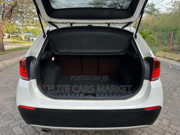 BMW X1 2010 Pearl